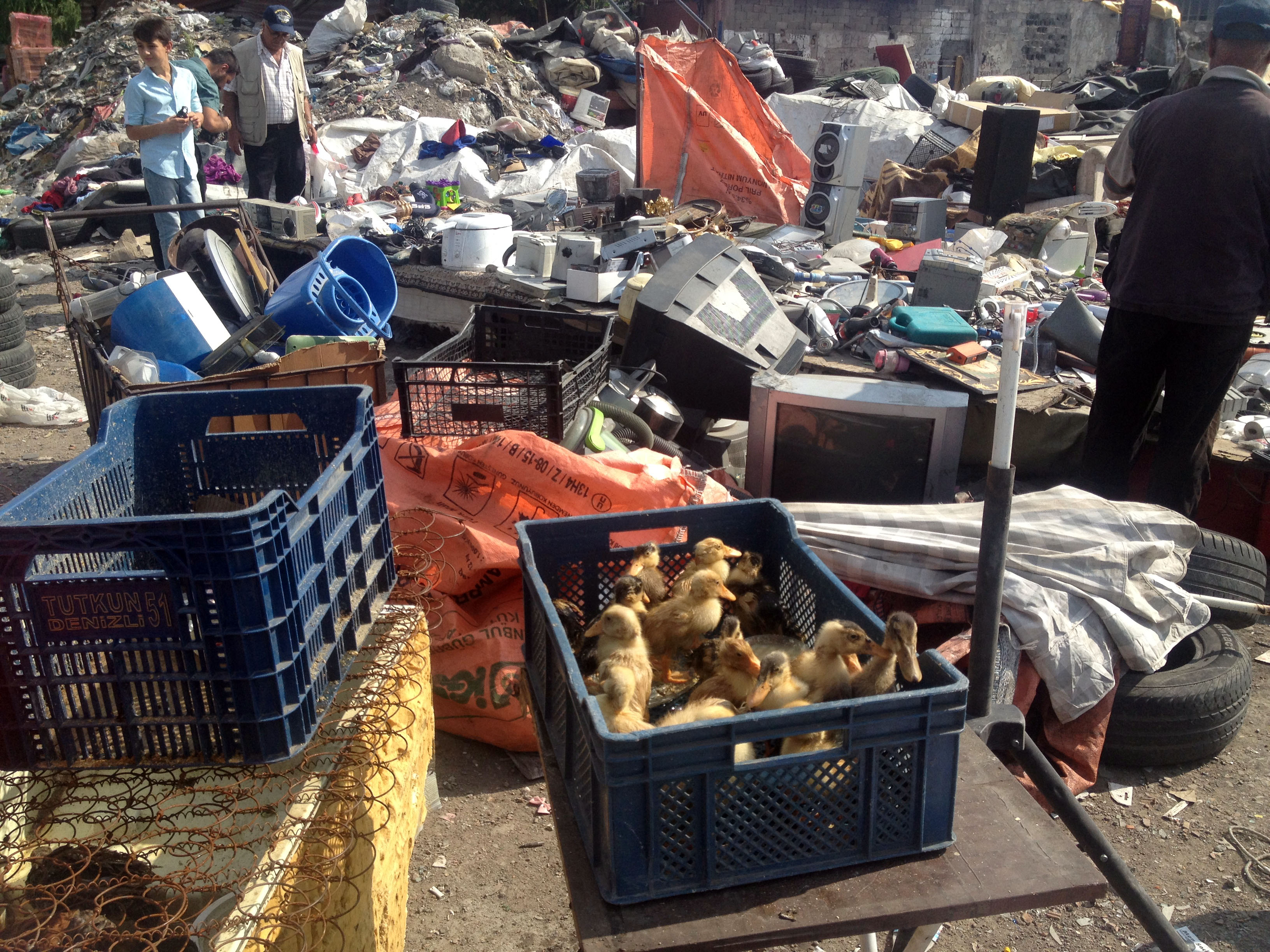 Ankara Bitpazar� - ankara h�rs�z pazar�